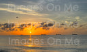 Tee – Florida Sun Rising (Athletic Fit for Women)