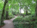 Original photograph taken at Blarney Castle in Ireland used for Legendary Irish Castle Secret Path designs