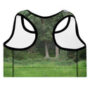God's Creatures: Highland Cattle Padded Sports Bra - images on me