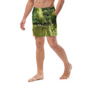 Explore: Swans of St James Park Swim Trunks - images on me
