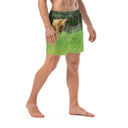 swimwear - trunks-God's Creatures Highland Cattle Swim Trunks-4-images on me